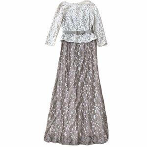 Adrianna Papell Lace Long Sleeve Gown